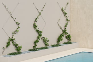 zigzag_pool_scene_2-Green-wall